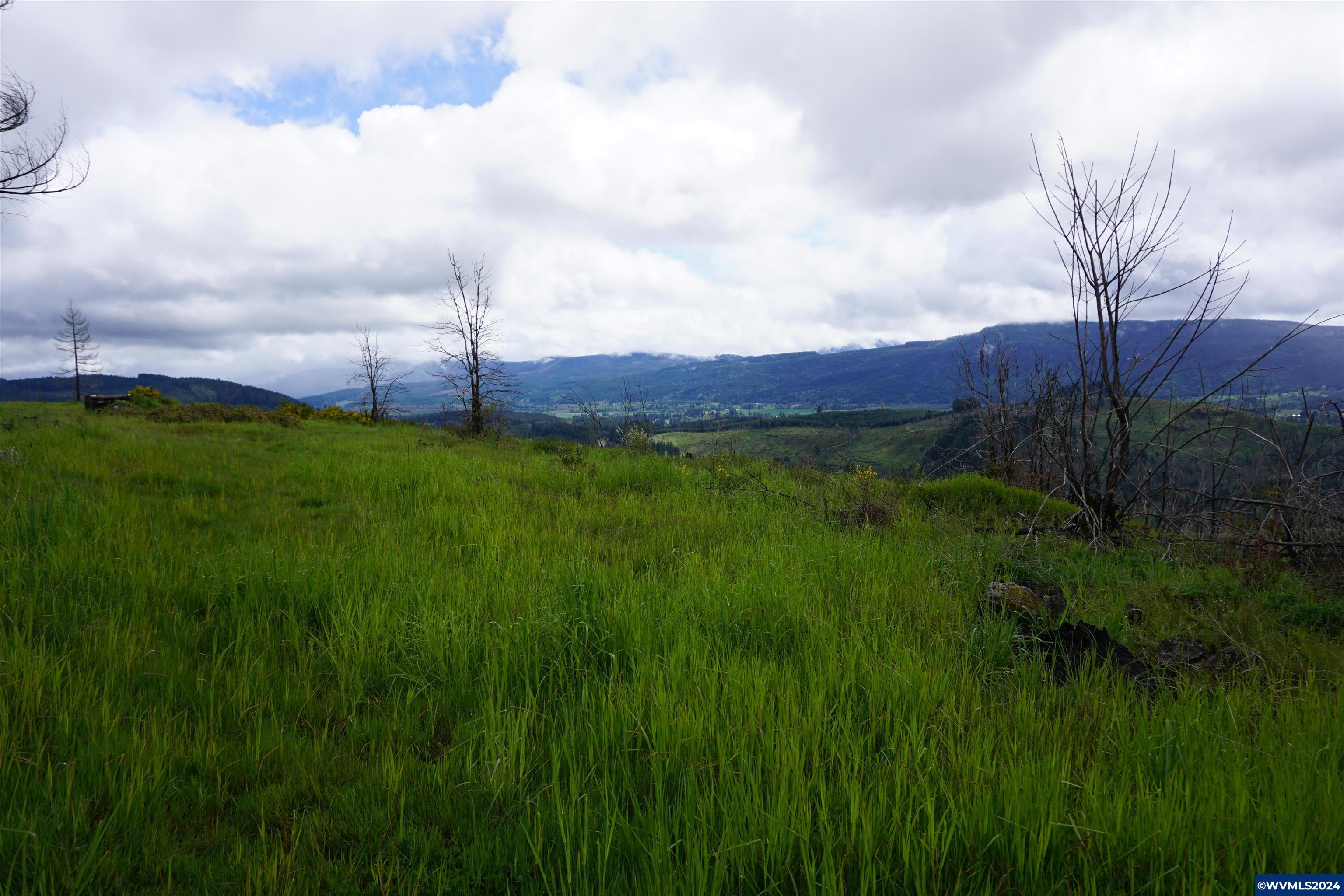 900 Wagner Road Lyons, OR 97358 - Photo 6 of 30