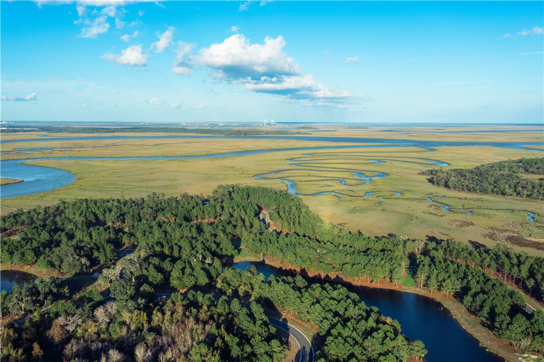 Lot 189 Bridge View Lane Waverly, GA 31565 - Photo 14 of 15