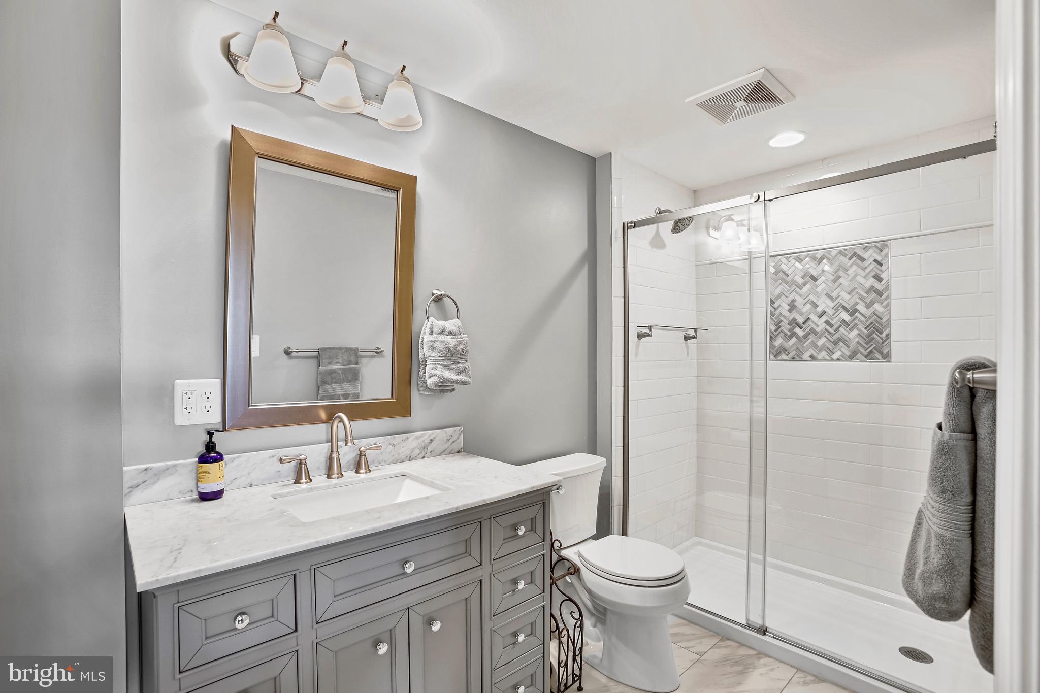 18604 Wild Raspberry Drive Purcellville, VA 20132 - Photo 39 of 58 lower level full bath