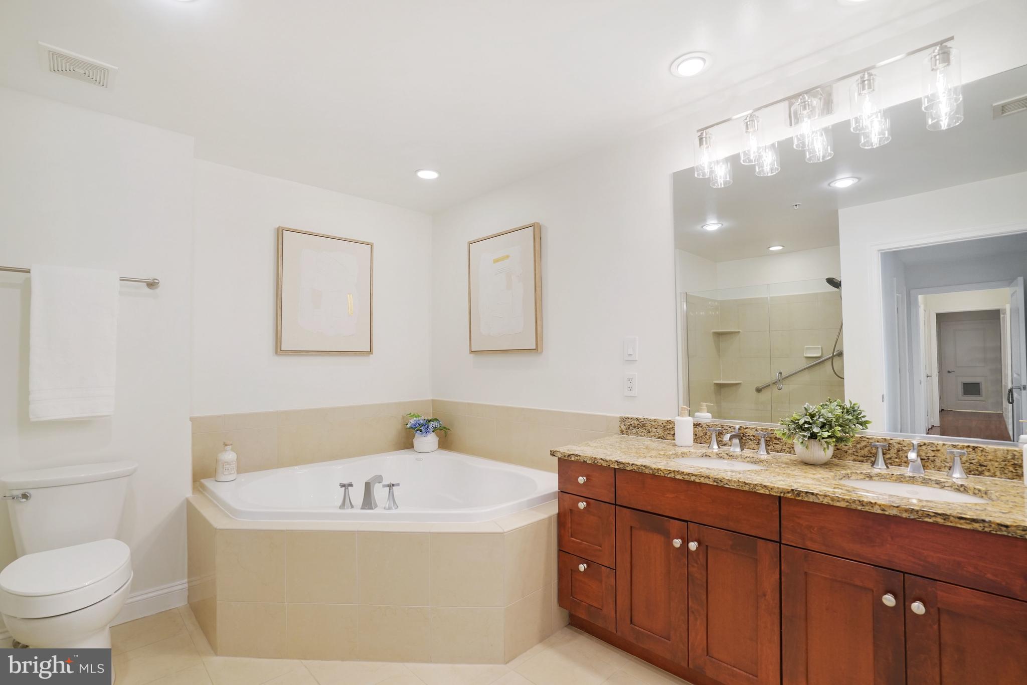 513 West Broad Street, Unit 510 Falls Church, VA 22046 - Photo 24 of 55 a bathroom with a bathtub sink mirror vanity and toilet