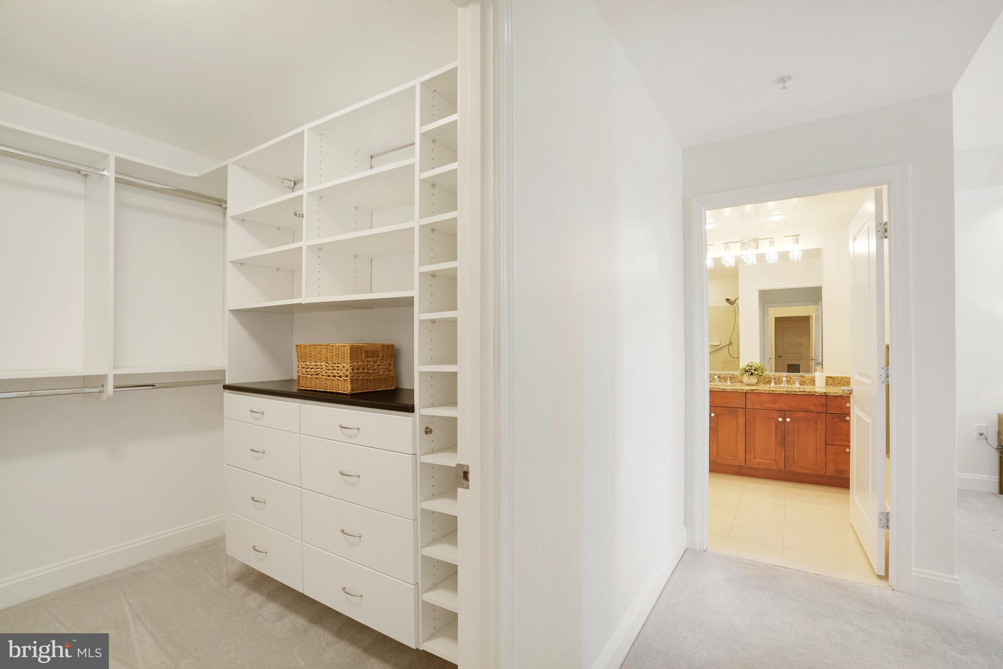 513 West Broad Street, Unit 510 Falls Church, VA 22046 - Photo 25 of 55 a view of an empty walk in closet