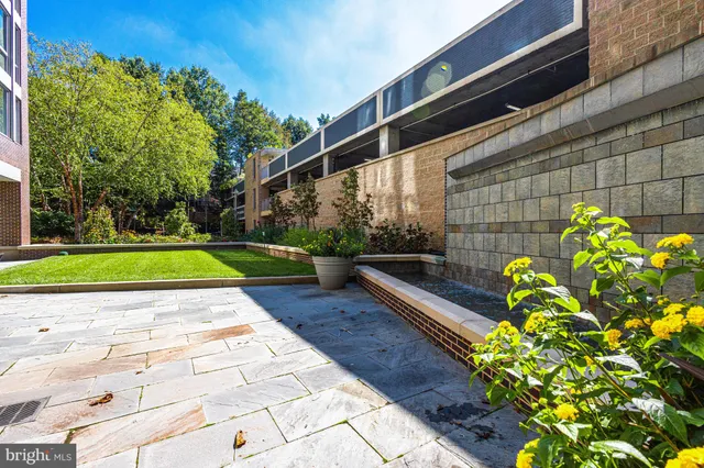 a view of a backyard with plants and large trees