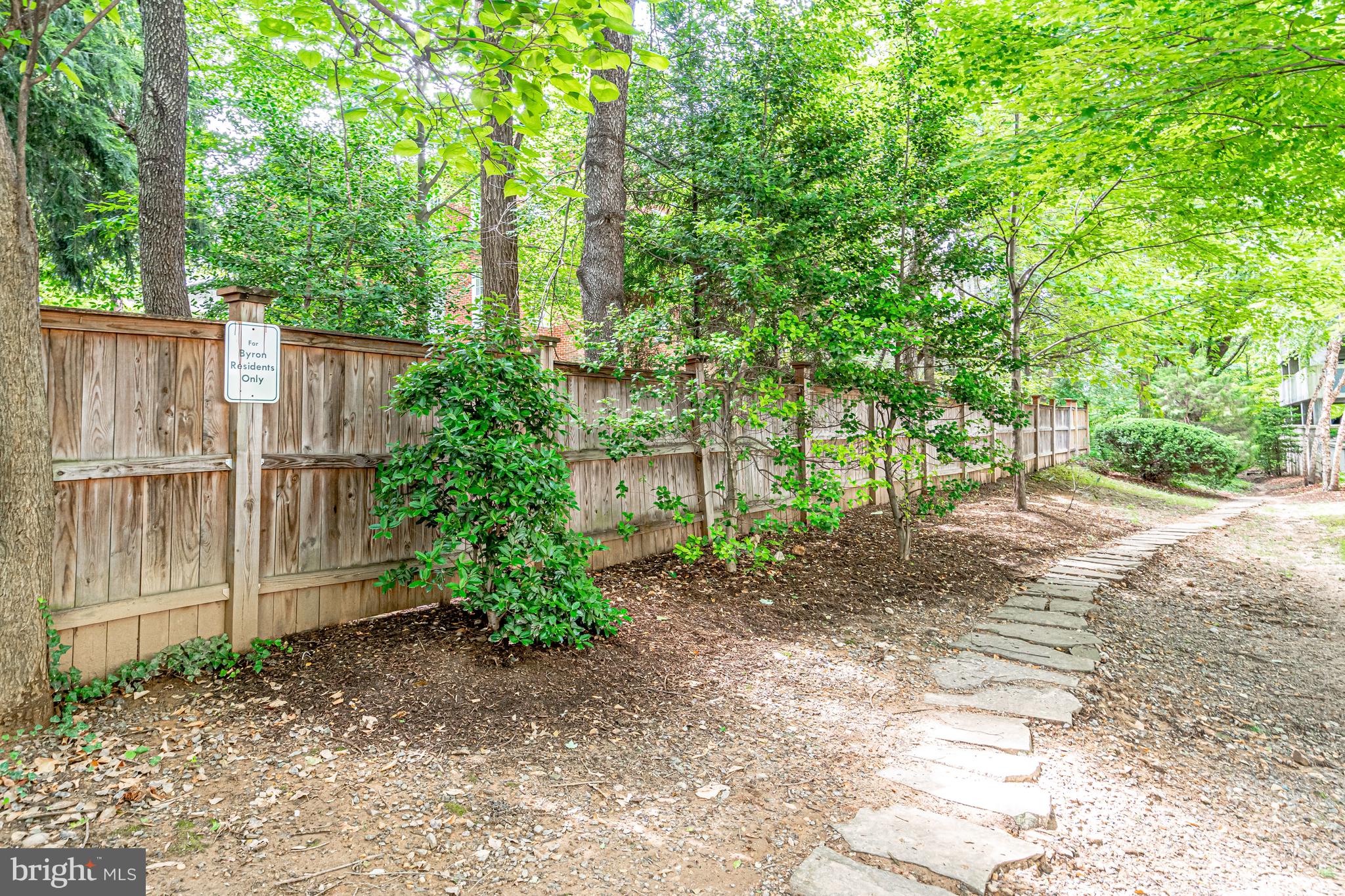 513 West Broad Street, Unit 510 Falls Church, VA 22046 - Photo 46 of 55 a view of a backyard with plants and large trees