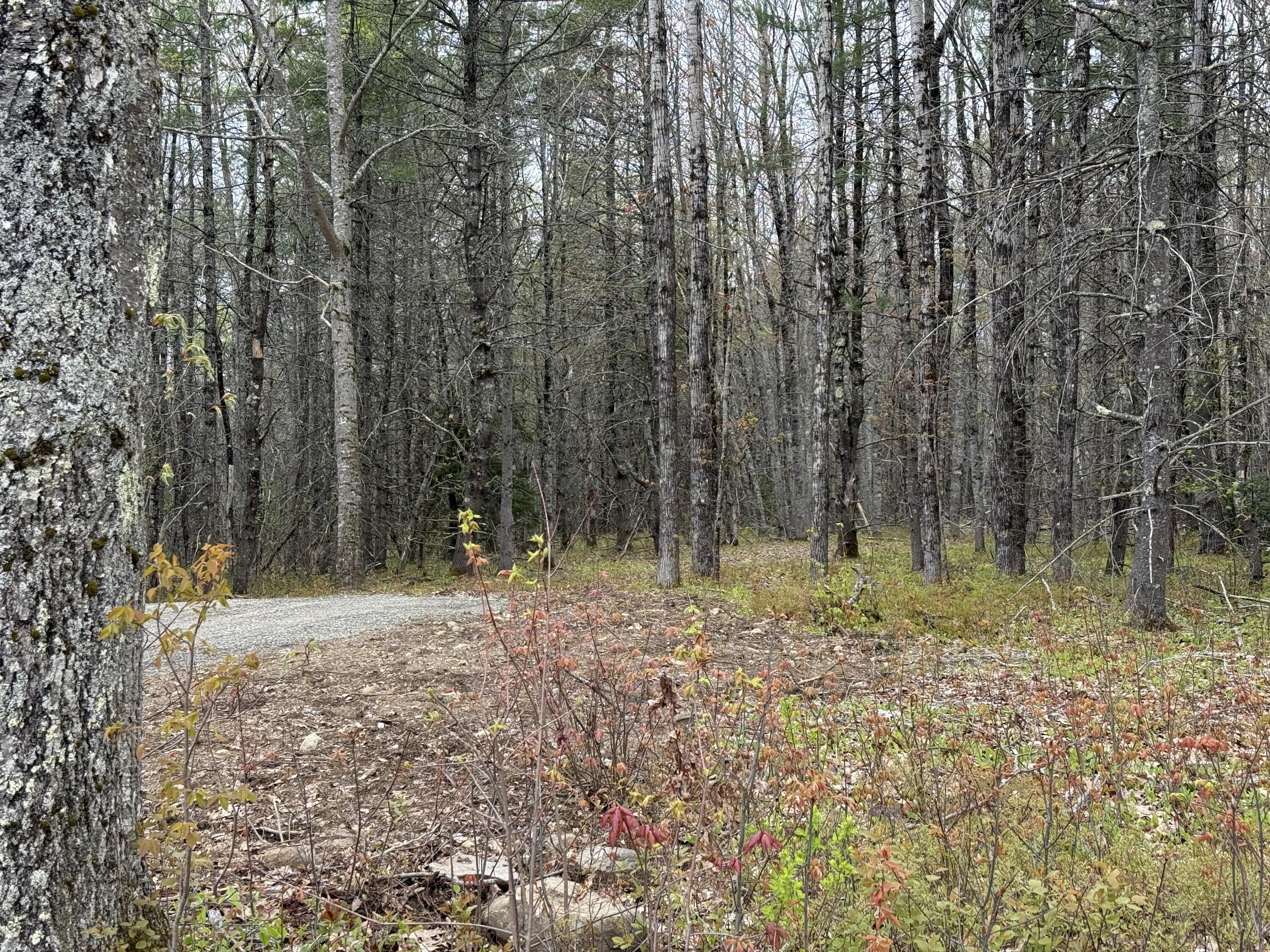 22 Albert Jones Road Washington, ME 04574 - Photo 7 of 9