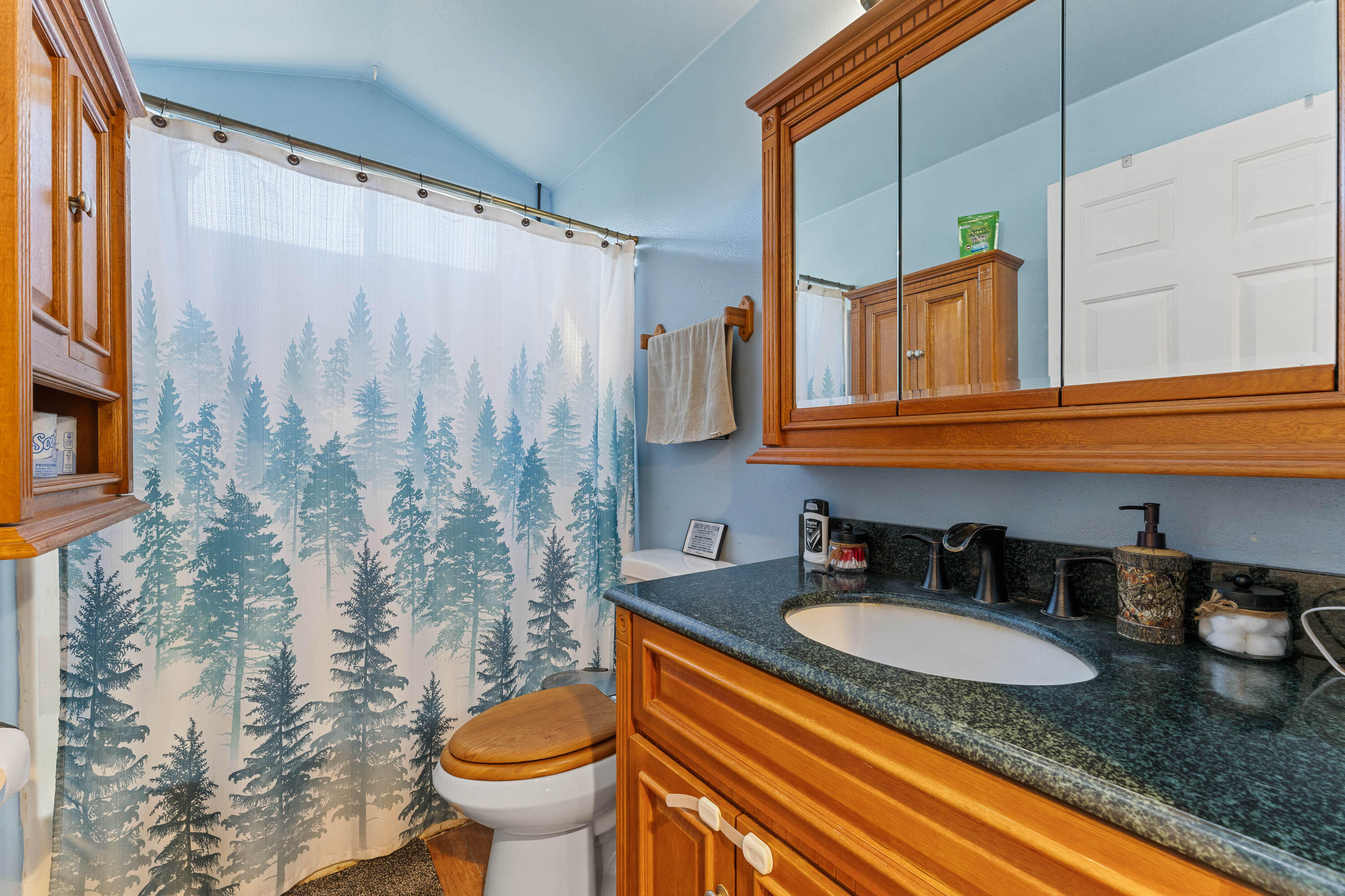 1492 Crooks Creek Road Selma, OR 97538 - Photo 15 of 38 INT (12 of 20)