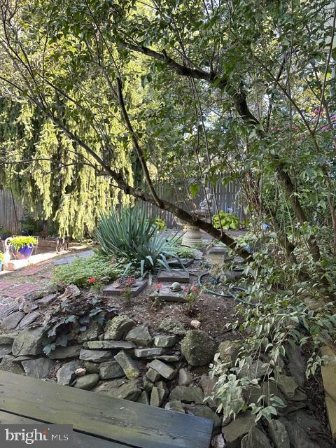 428 George Street Hanover, PA 17331 - Photo 35 of 43 a picture of trees