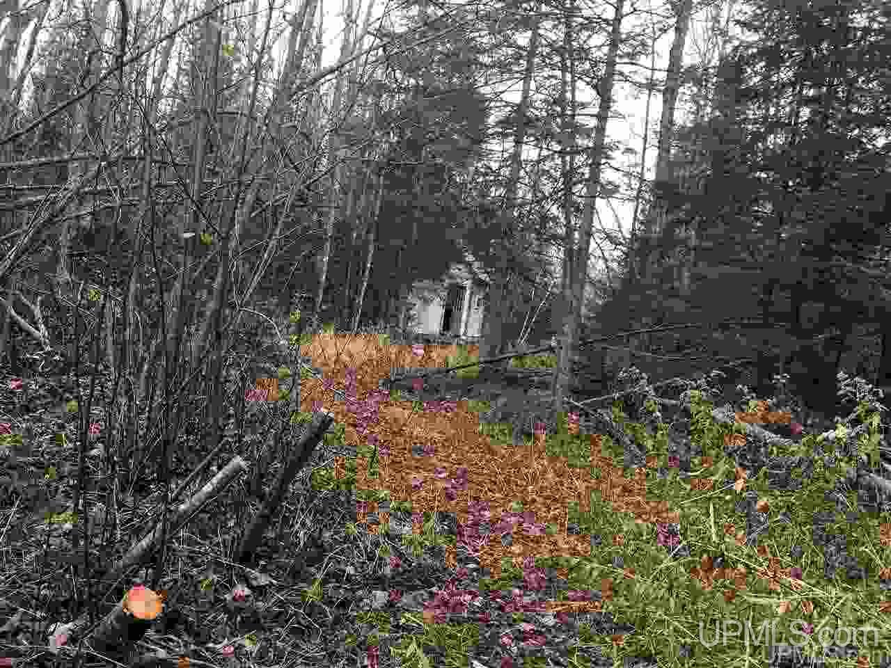 40-acres Off Cadeau Road Baraga, MI 49908 - Photo 15 of 19