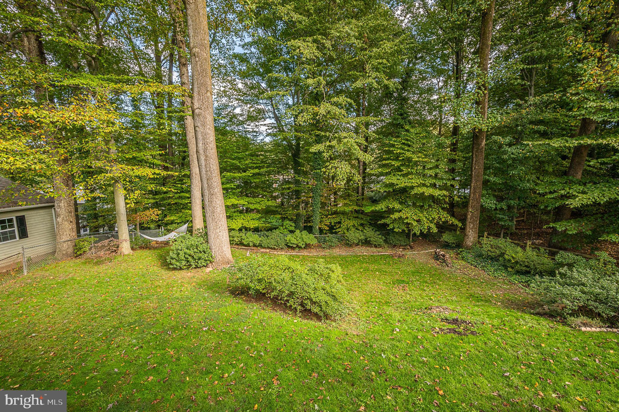 6701 Coachman Drive Springfield, VA 22152 - Photo 39 of 41 Nature at its Best