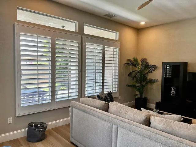 a living room with furniture and a potted plant