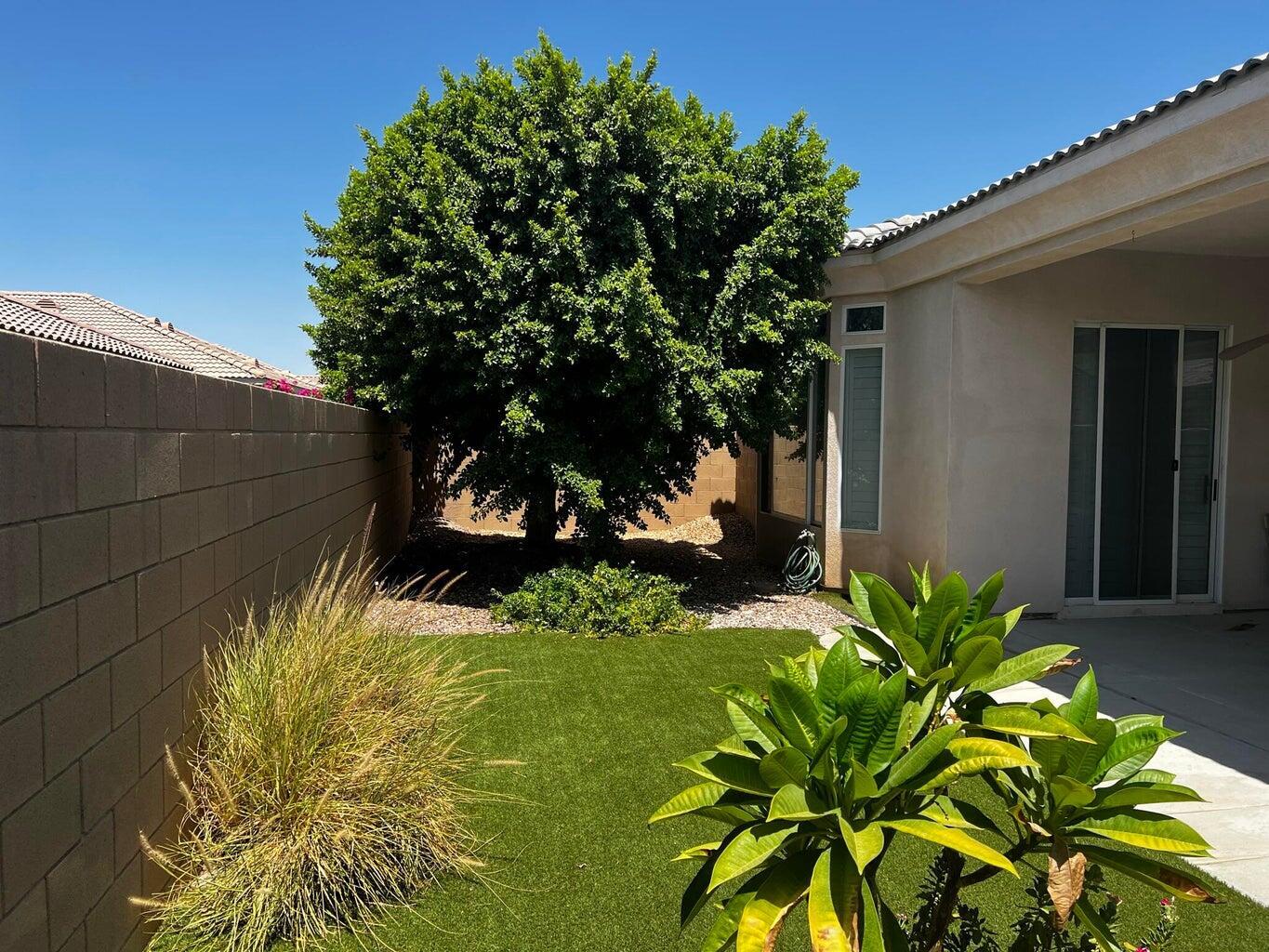 44725 Alexandria Vale Indio, CA 92201 - Photo 10 of 22 a plant that is in front of a house