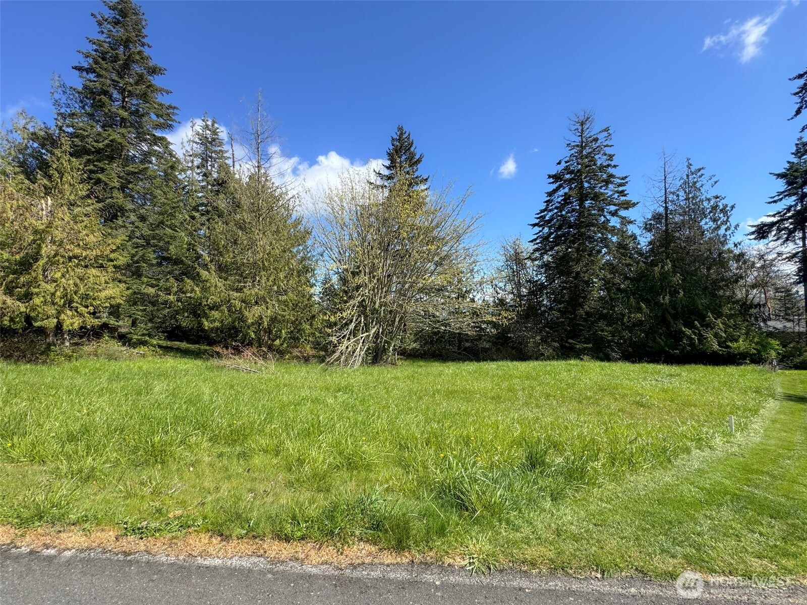 9999 Elk Pass Road Sequim, WA 98382 - Photo 10 of 40