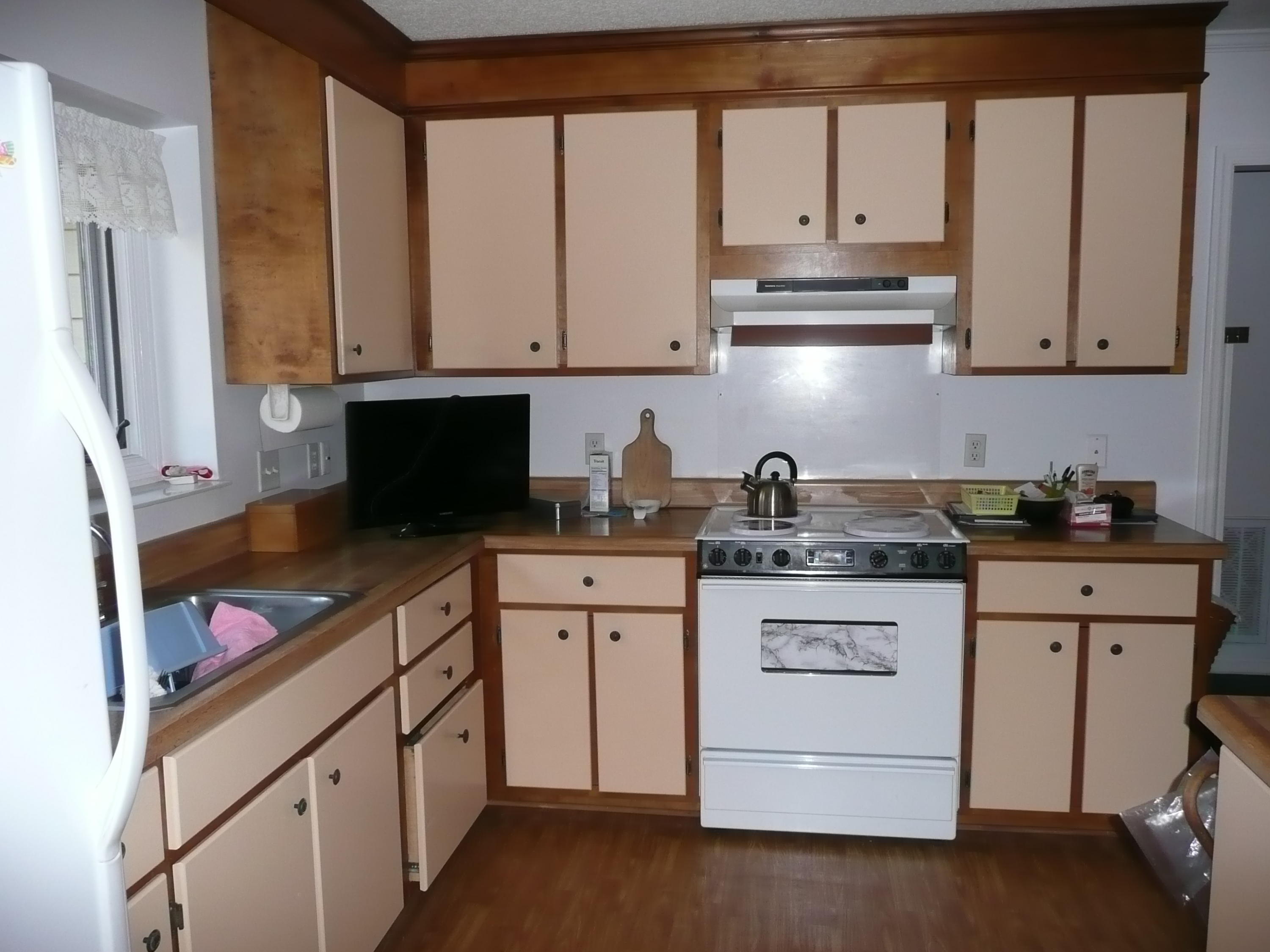 7 Peter Collinson Road Santee, SC 29142 - Photo 2 of 17 Kitchen.