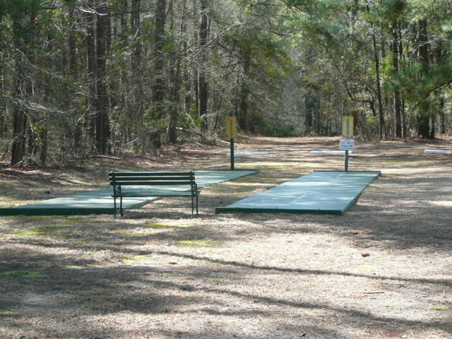 7 Peter Collinson Road Santee, SC 29142 - Photo 15 of 17 Shuffle Board