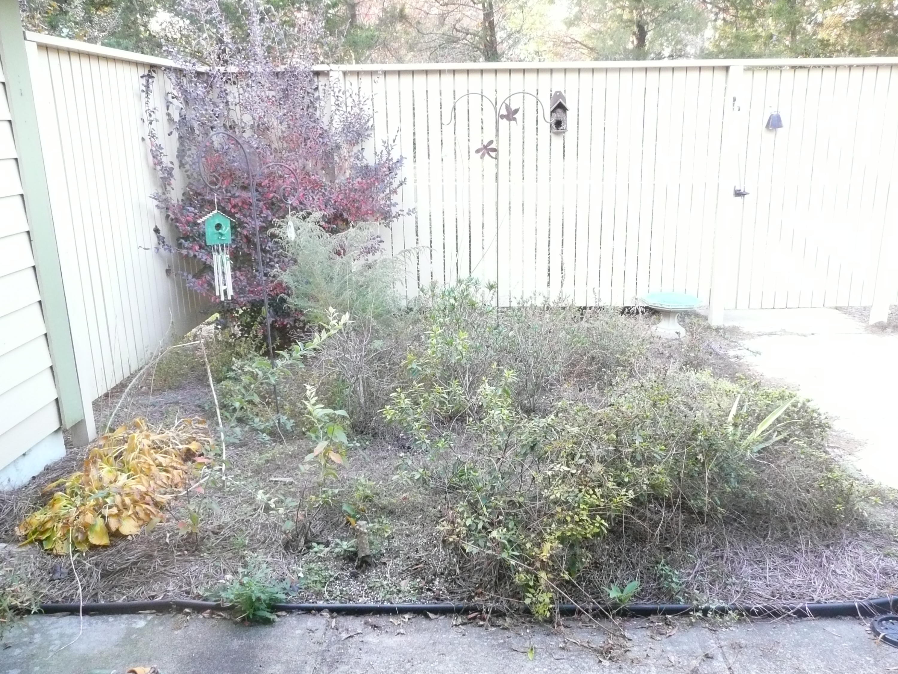 7 Peter Collinson Road Santee, SC 29142 - Photo 7 of 17 Garden Area