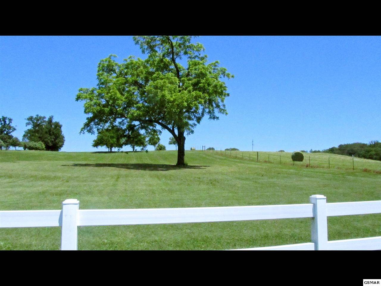 0 Carmichael Road Talbott, TN 37877 - Photo 1 of 1 Gallery Image 1