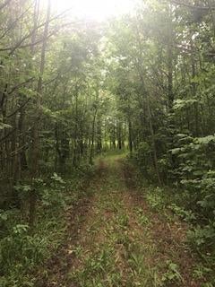 16125 Reider School Road Lachine, MI 49753 - Photo 42 of 44 Gallery Image 42