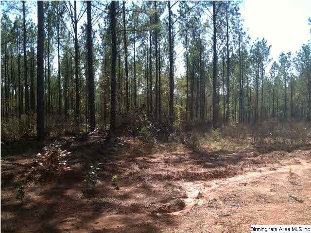 Bishop Ridge, Unit 150 McCalla, AL 35111 - Photo 6 of 10