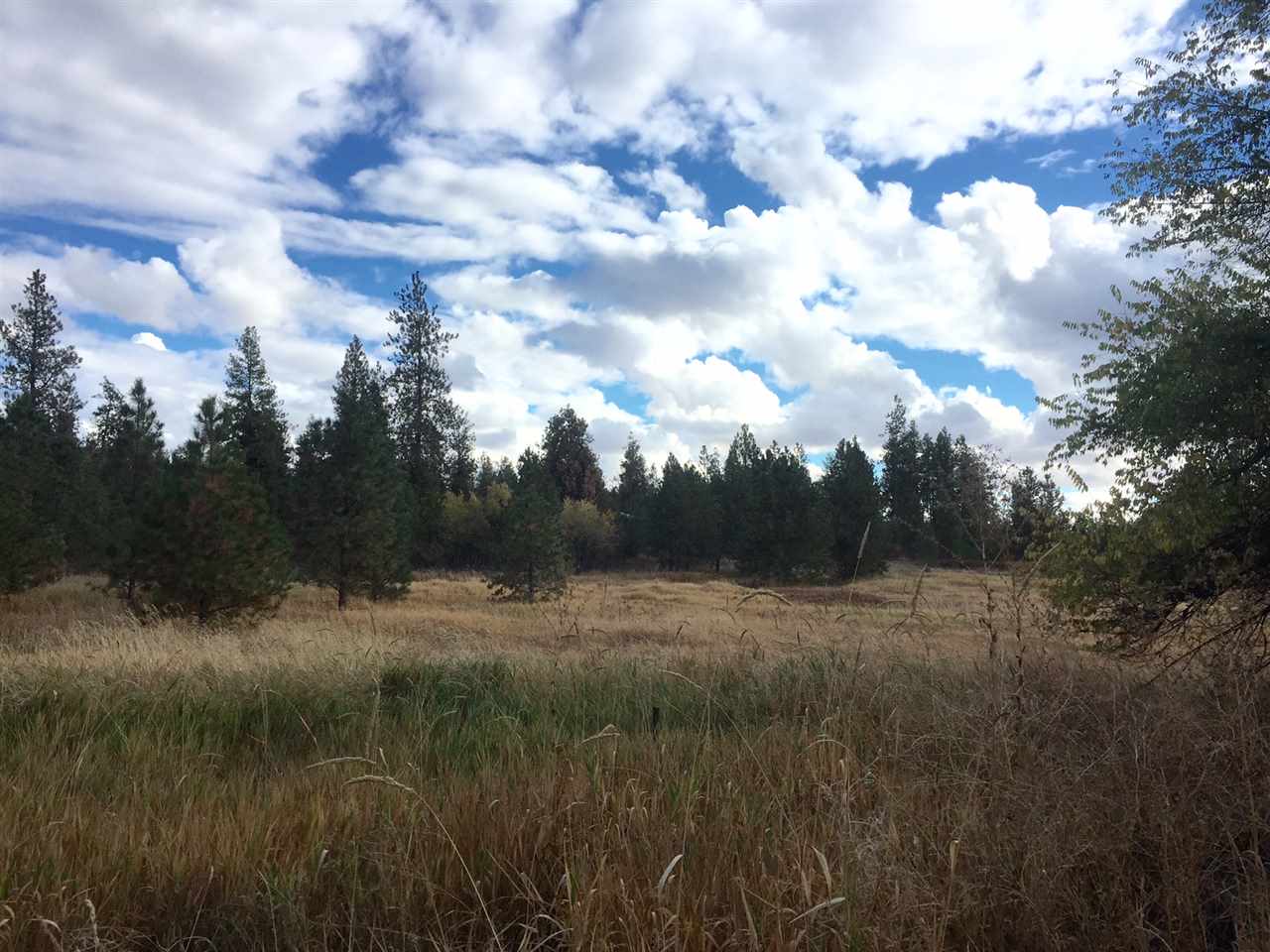 2233 West Smythe Road Spokane, WA 99224 - Photo 13 of 17