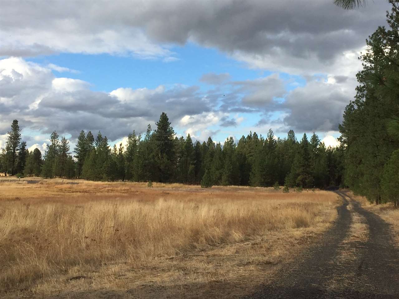 2233 West Smythe Road Spokane, WA 99224 - Photo 14 of 17