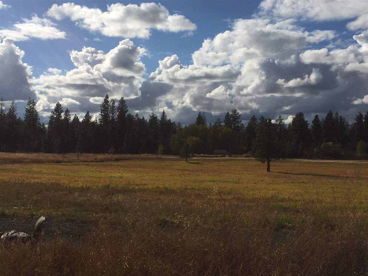 2233 West Smythe Road Spokane, WA 99224 - Photo 8 of 17