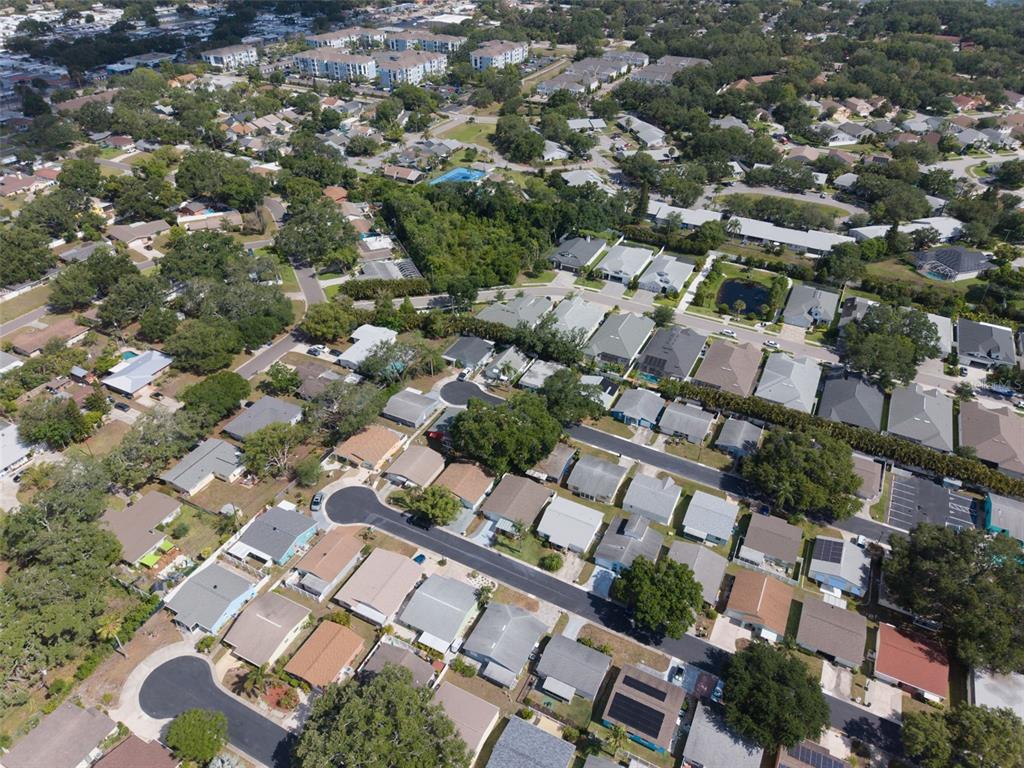 1009 Crane Court Dunedin, FL 34698 - Photo 56 of 63