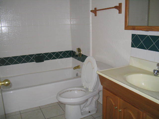 7685 West Lamar Road Glendale, AZ 85303 - Photo 11 of 14 BATHROOM TWO