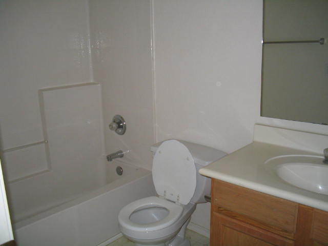 7685 West Lamar Road Glendale, AZ 85303 - Photo 12 of 14 BATHROOM THREE