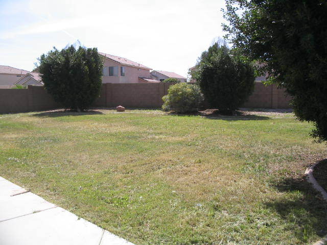 7685 West Lamar Road Glendale, AZ 85303 - Photo 13 of 14 BACKYARD