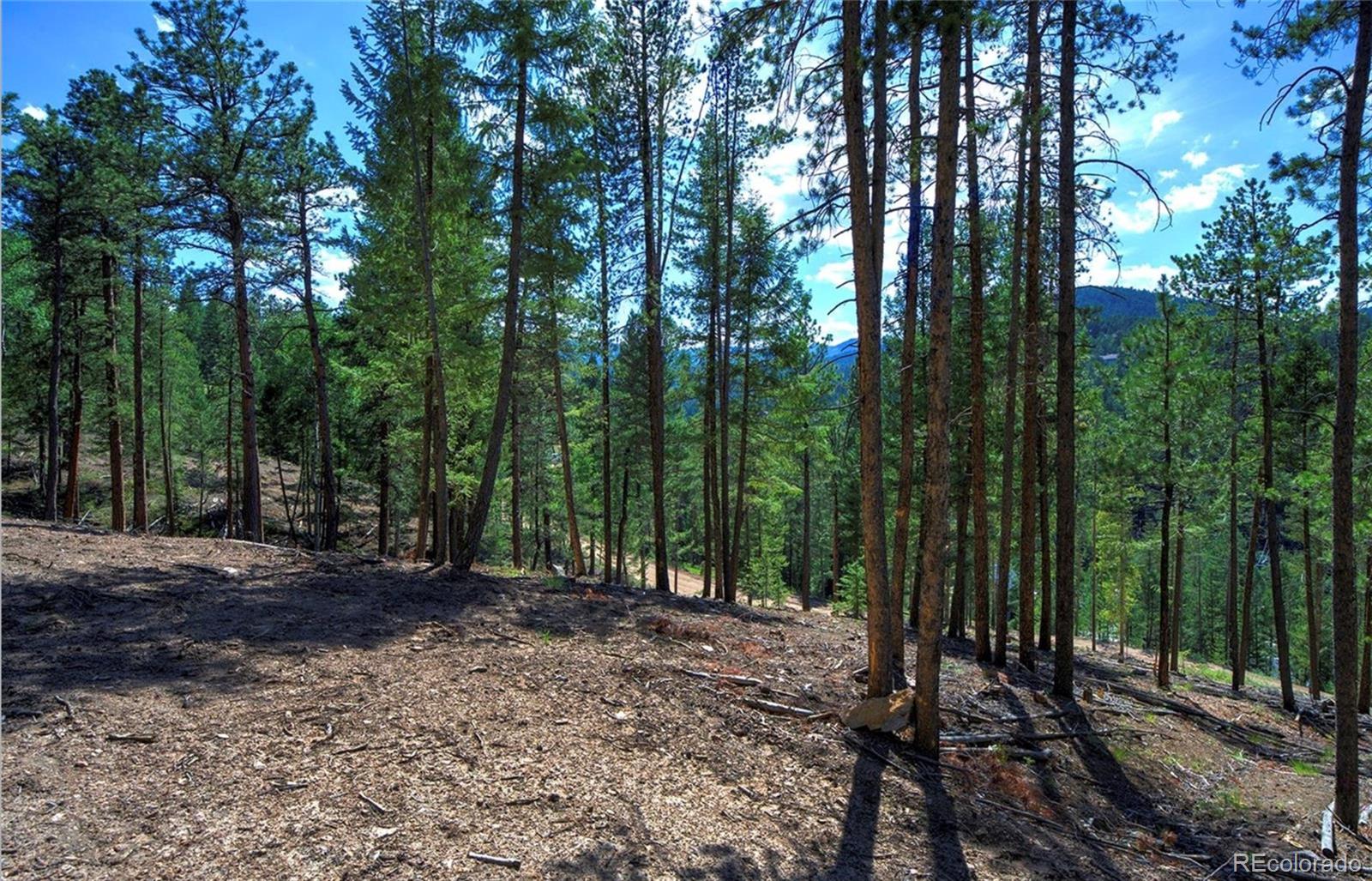 6824 Lynx Lair Road Evergreen, CO 80439 - Photo 4 of 18