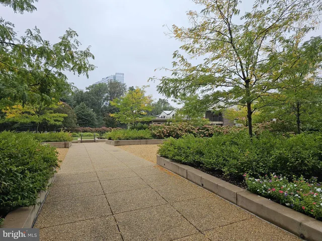 a view of a yard with potted plants