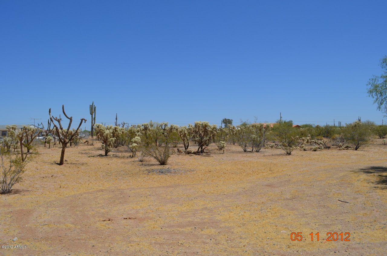 3749 North Razorback Drive Florence, AZ 85132 - Photo 19 of 20 C:\fakepath\DSC_0151