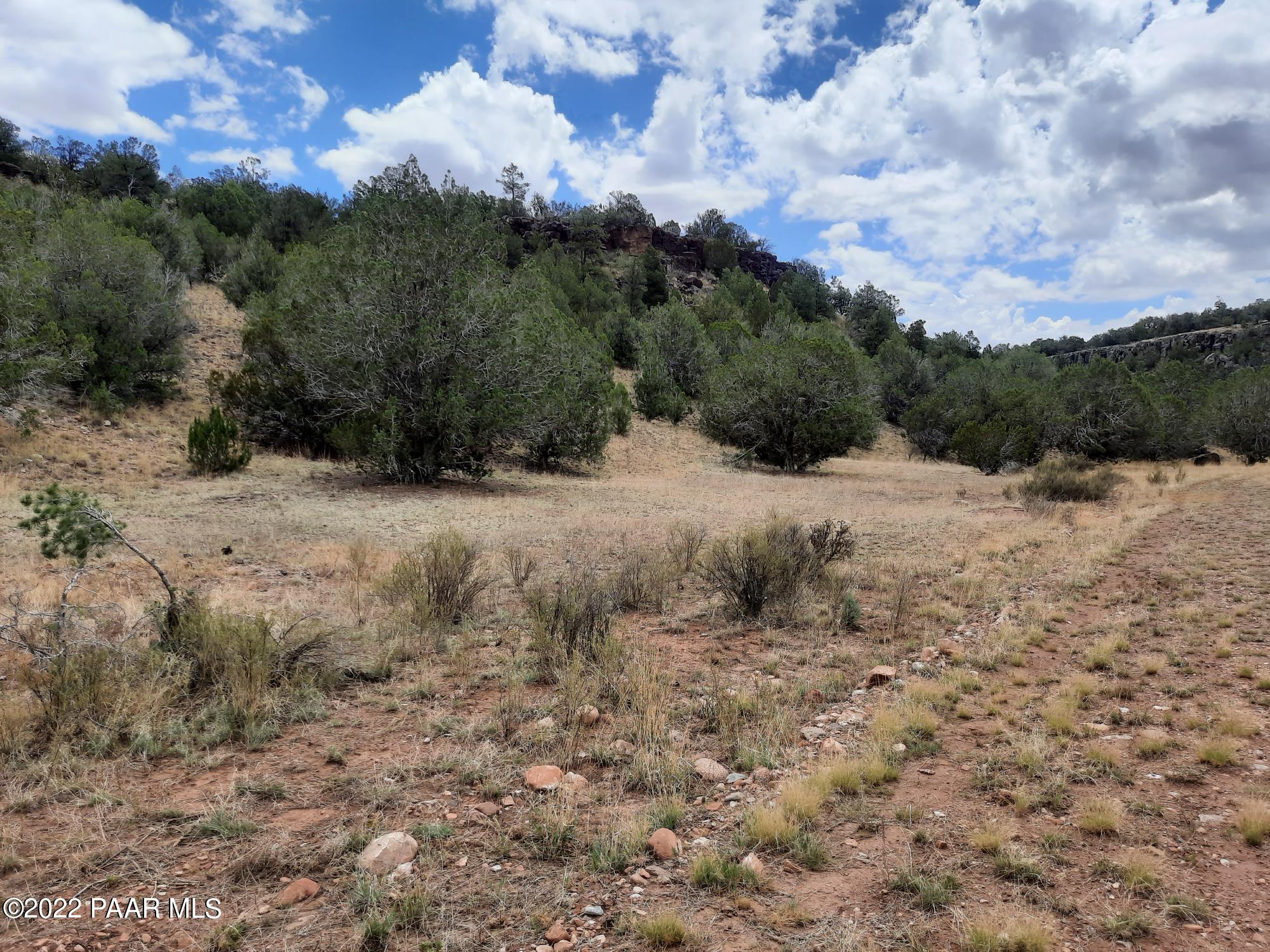29695 West Ridge Runner Road Seligman, AZ 86337 - Photo 13 of 15 20220705_110344