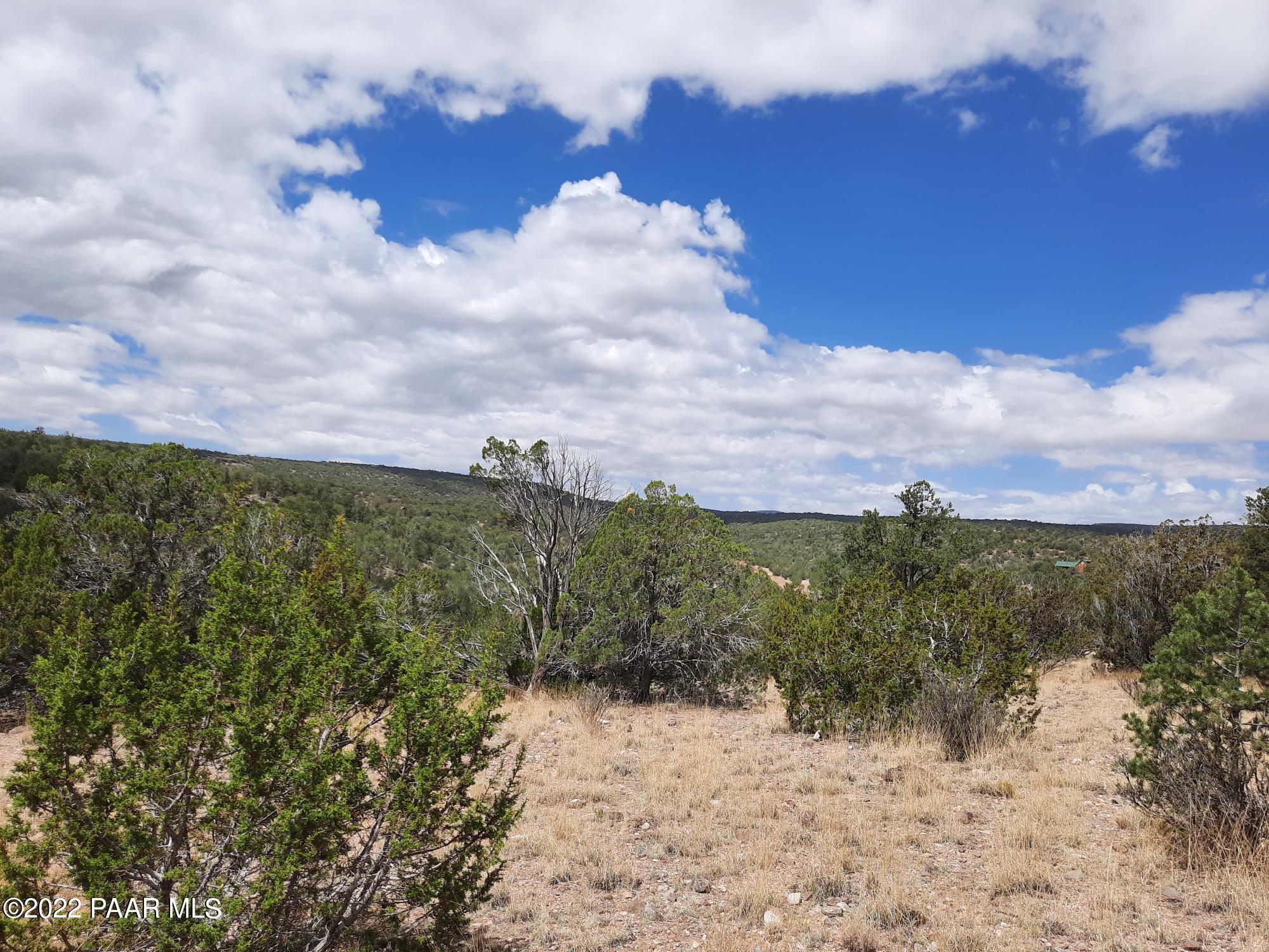 29695 West Ridge Runner Road Seligman, AZ 86337 - Photo 8 of 15 20220705_104854