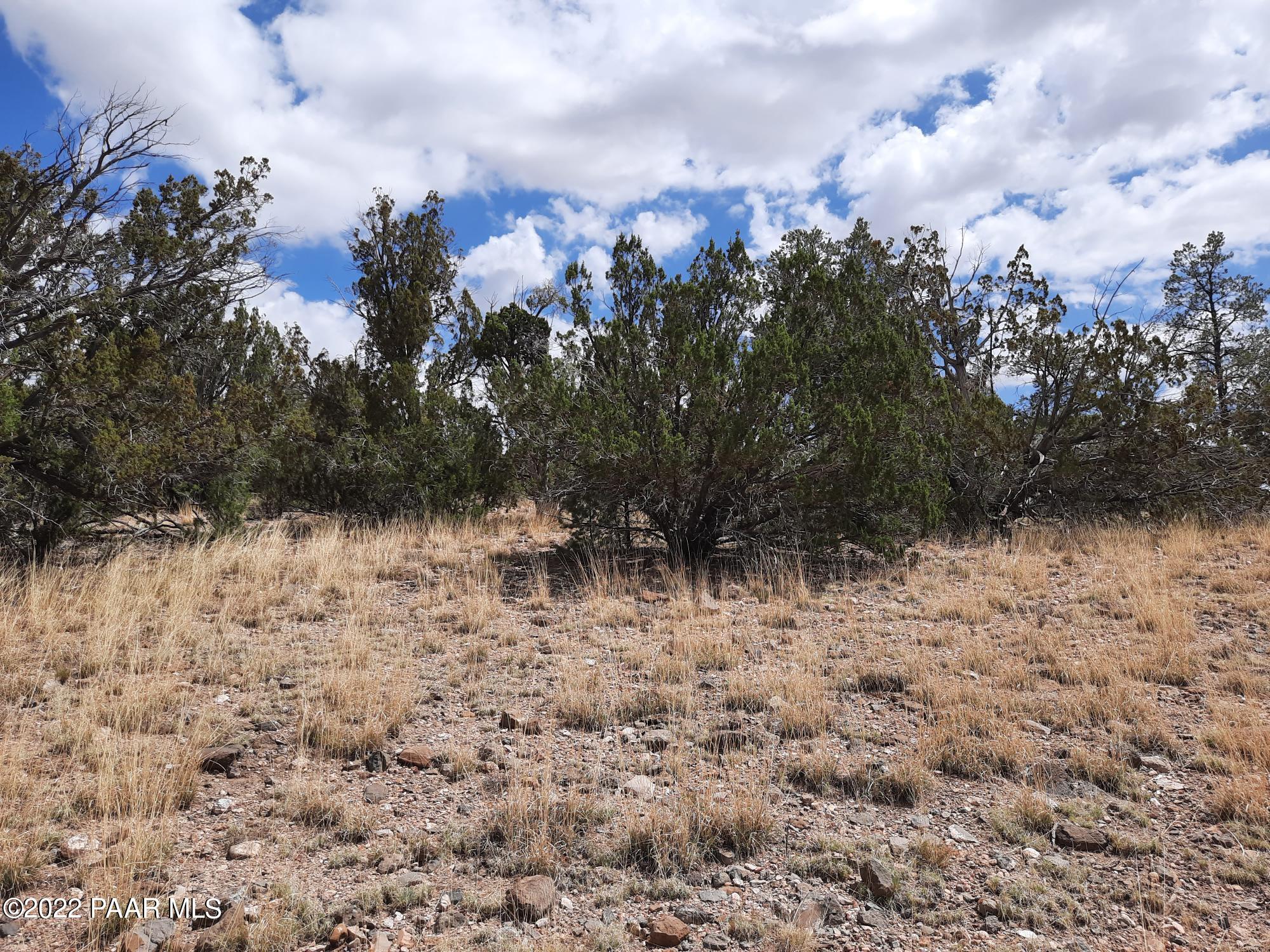 29695 West Ridge Runner Road Seligman, AZ 86337 - Photo 9 of 15 20220705_104921