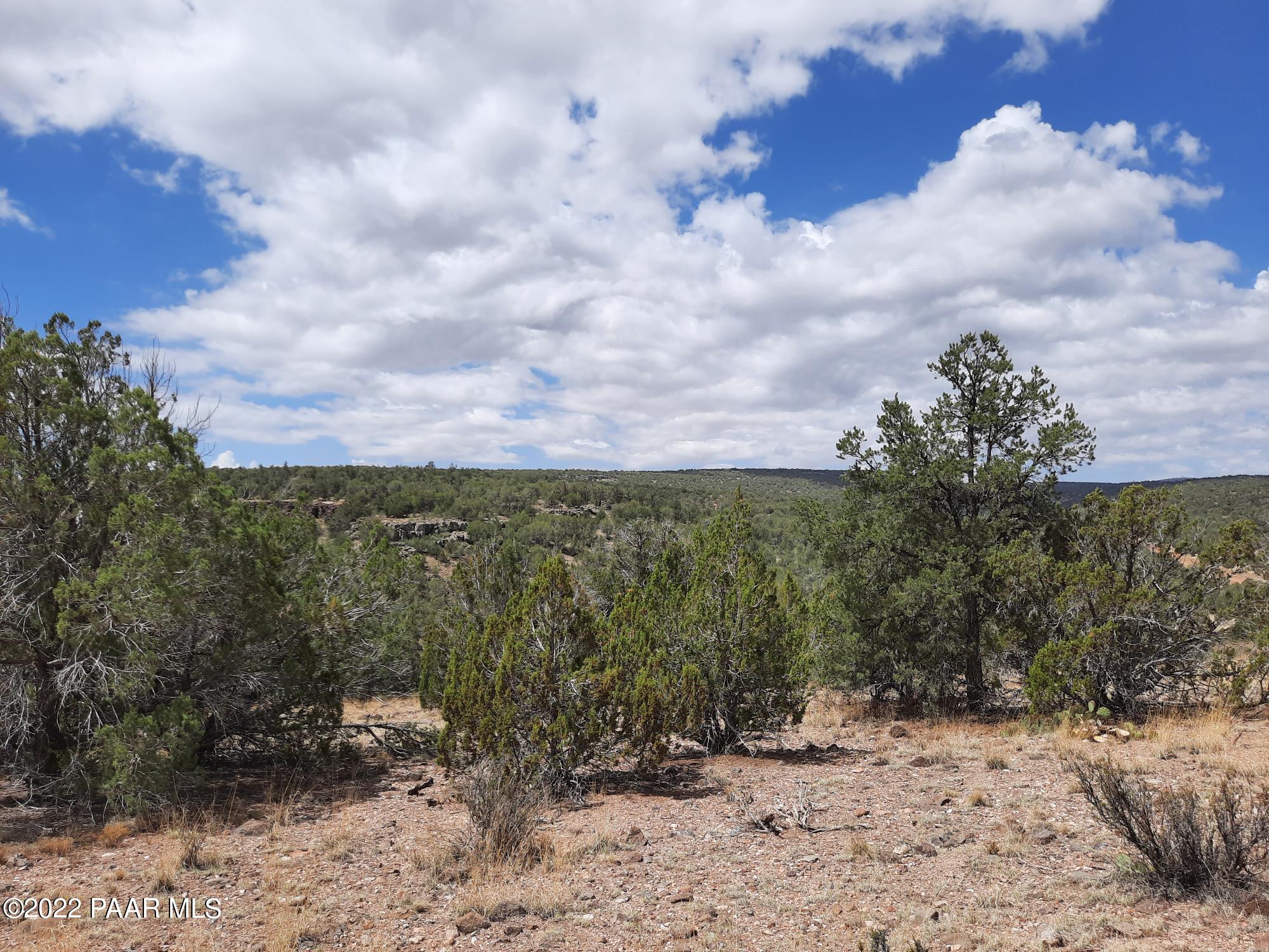 29695 West Ridge Runner Road Seligman, AZ 86337 - Photo 10 of 15 20220705_104946
