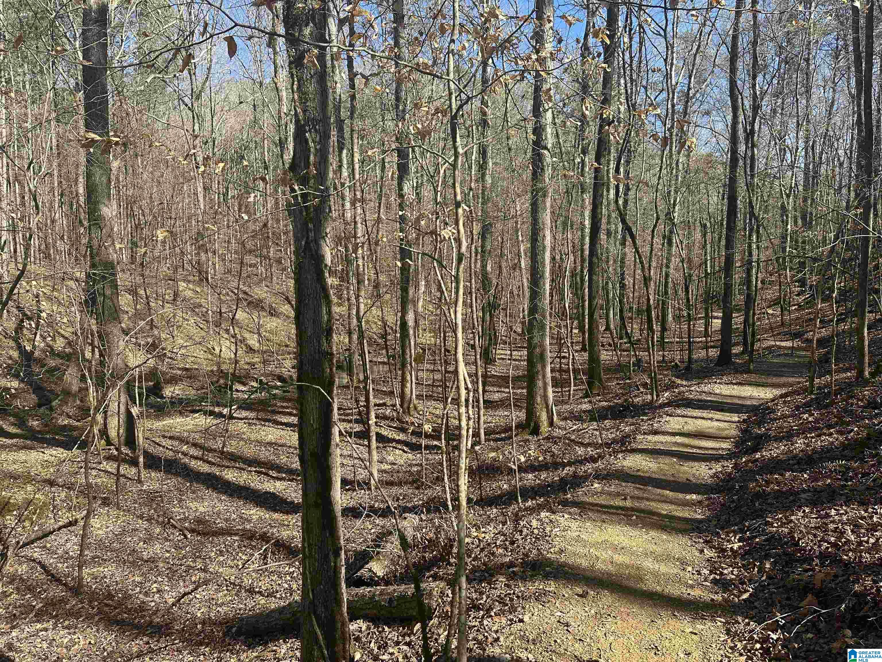 1014 Unali Townes Loop East Leeds, AL 35094 - Photo 32 of 33