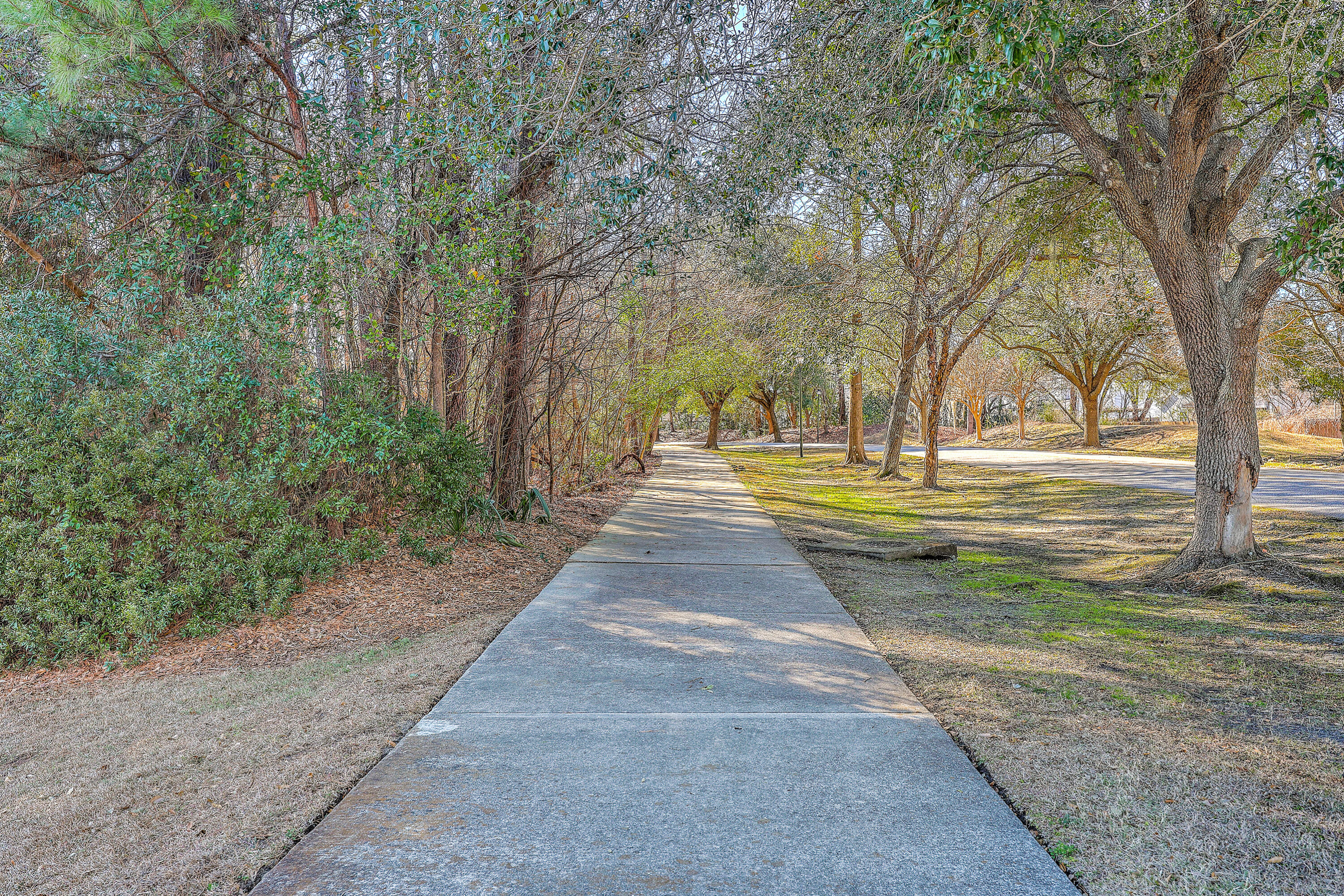 5063 Weatherstone Road Charleston, SC 29414 - Photo 5 of 15