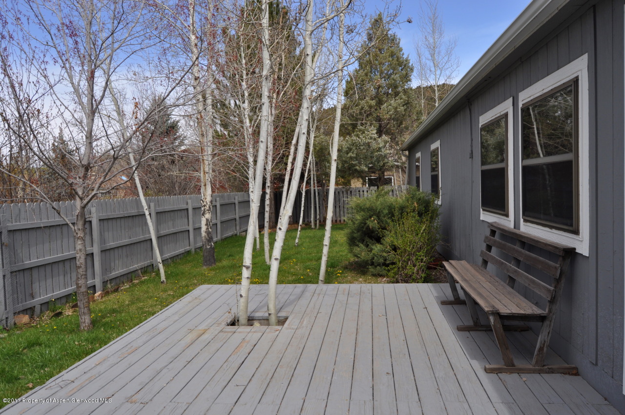 42 Badger Road Carbondale, CO 81623 - Photo 13 of 17 Back Yard