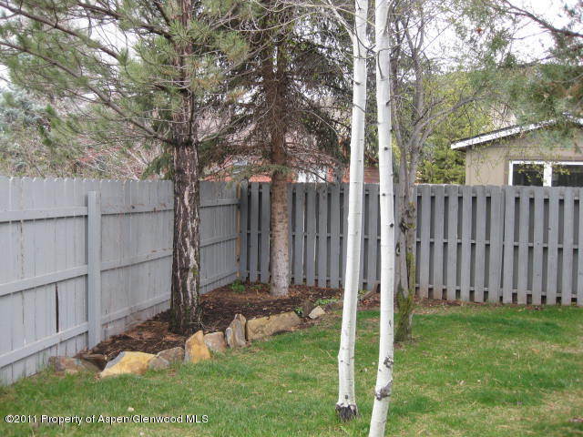 42 Badger Road Carbondale, CO 81623 - Photo 14 of 17 4