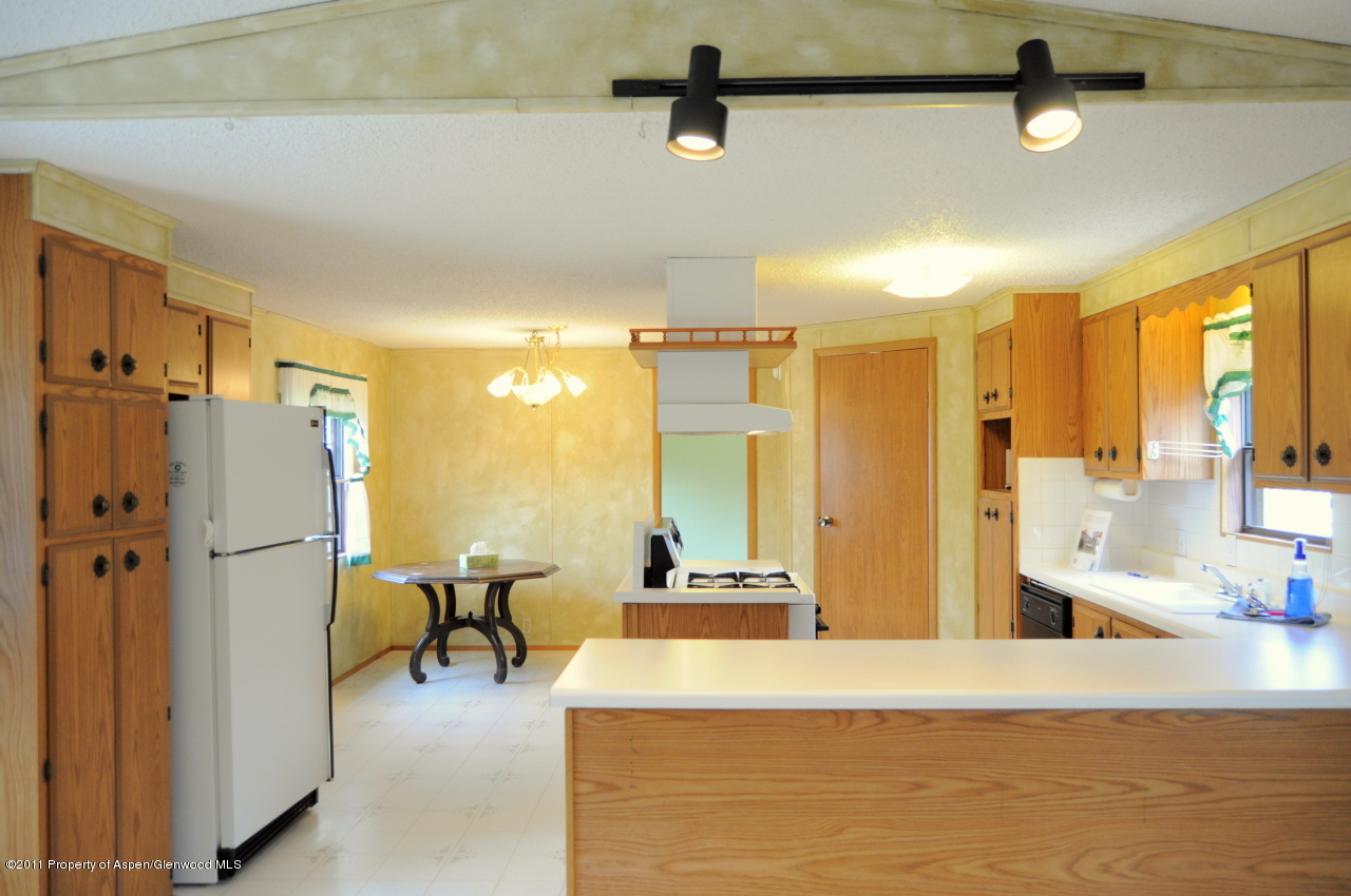 42 Badger Road Carbondale, CO 81623 - Photo 5 of 17 Kitchen