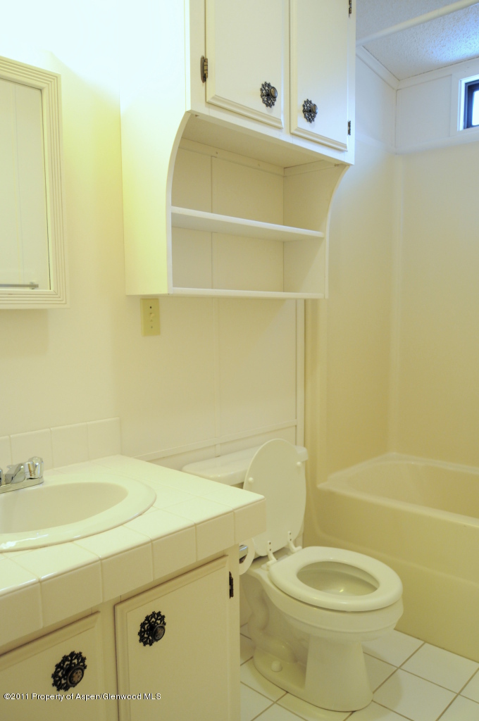 42 Badger Road Carbondale, CO 81623 - Photo 10 of 17 Bathroom 2