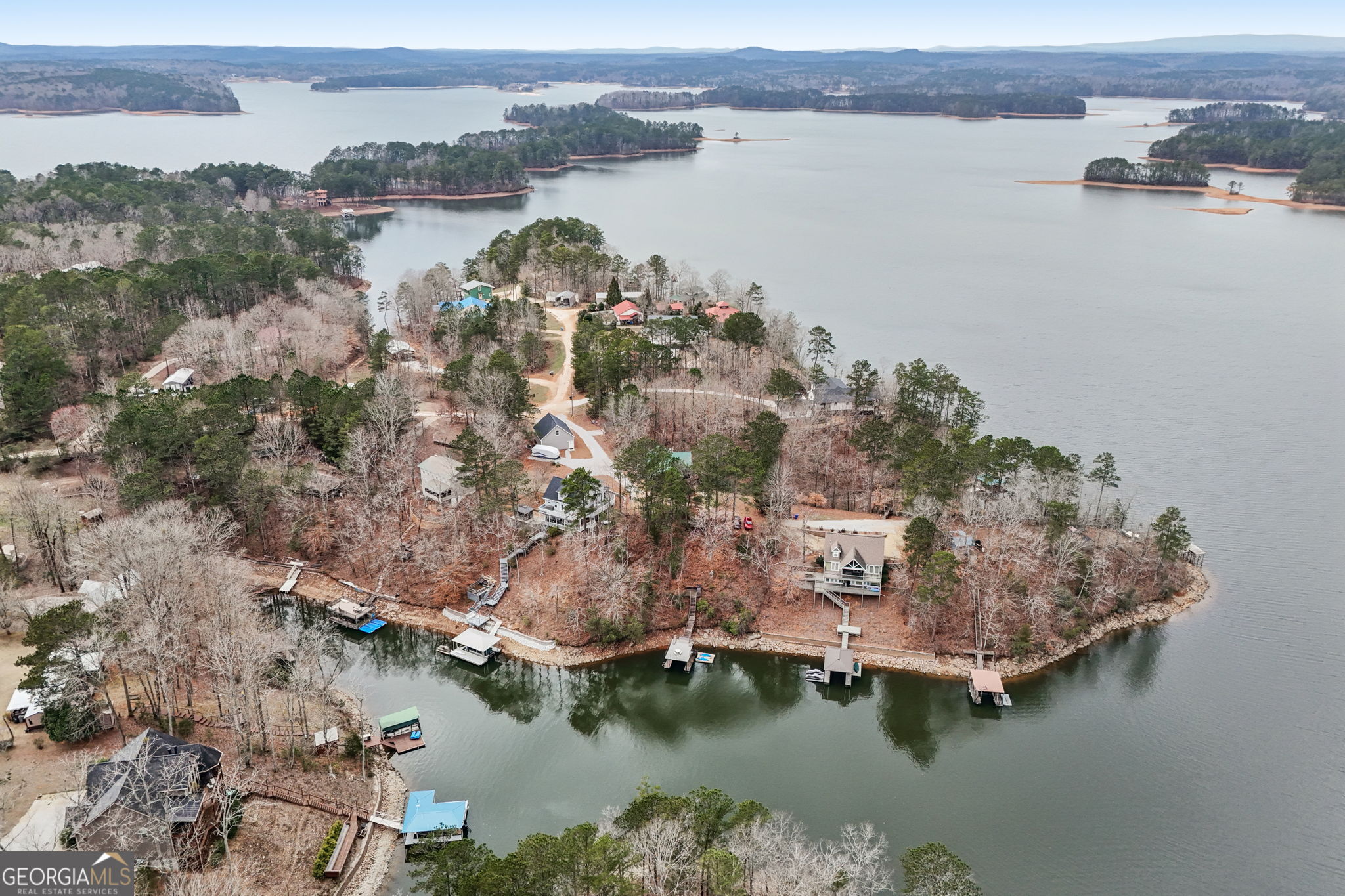 50 Eubanks Point Road Wedowee, AL 36278 - Photo 65 of 81 aerial view of a house with a lake view