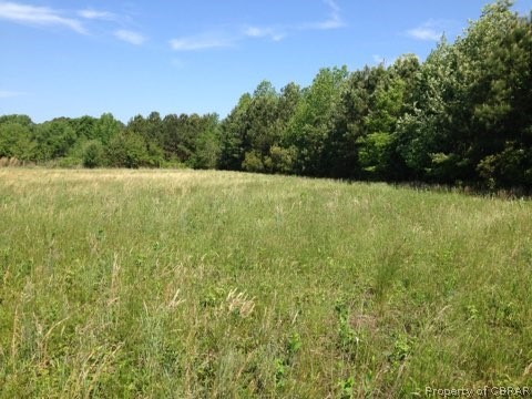 0 Gdn Crk Road Mathews, VA 23109 - Photo 8 of 8