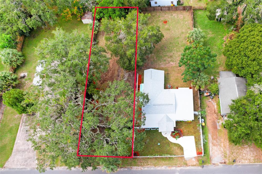 245 South Rhodes Street Mount Dora, FL 32757 - Photo 29 of 38 an aerial view of residential house with outdoor space and trees all around