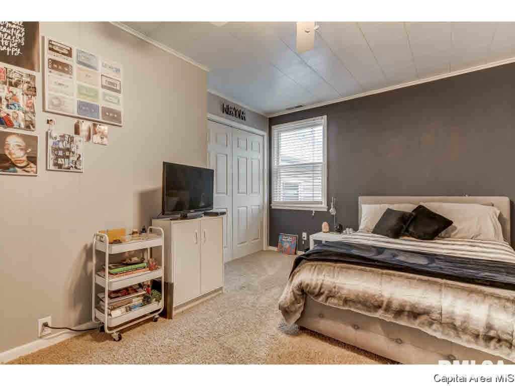 422 West Canedy Street Springfield, IL 62704 - Photo 11 of 34 Gallery Image 11