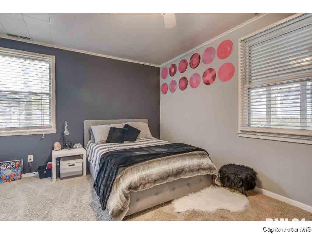 422 West Canedy Street Springfield, IL 62704 - Photo 12 of 34 Gallery Image 12