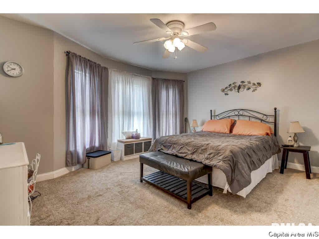 422 West Canedy Street Springfield, IL 62704 - Photo 14 of 34 Gallery Image 14