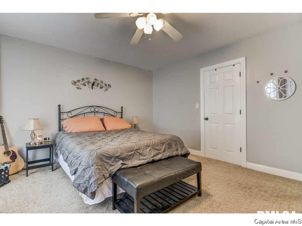 422 West Canedy Street Springfield, IL 62704 - Photo 15 of 34 Gallery Image 15