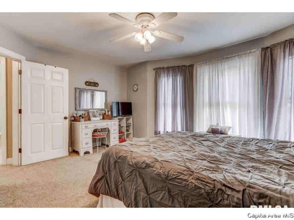 422 West Canedy Street Springfield, IL 62704 - Photo 16 of 34 Gallery Image 16