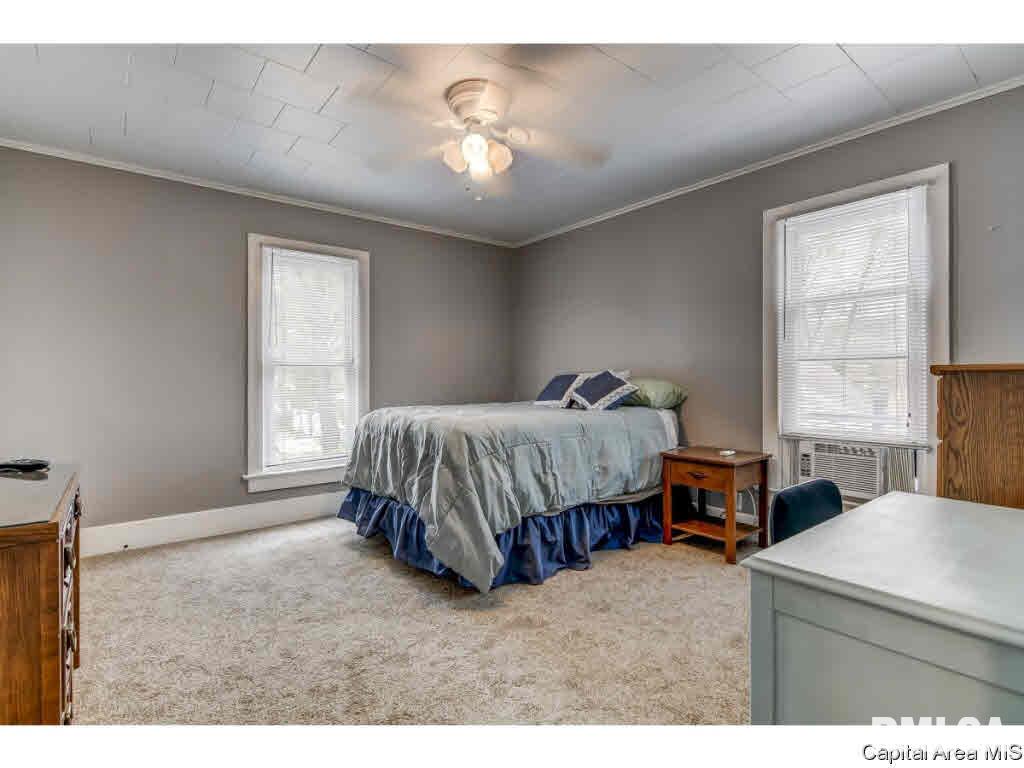 422 West Canedy Street Springfield, IL 62704 - Photo 17 of 34 Gallery Image 17